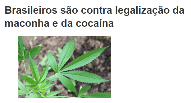 Portal Capim Grosso.com.br divulga pesquisa com a opinião dos Brasileiros sobre a legalização da maconha e da cocaína