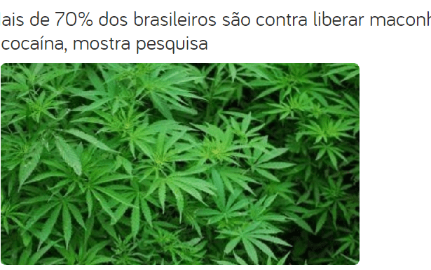 Rádio Itapicuru FM divulga pesquisa com a opinião dos Brasileiros sobre a legalização da maconha e da cocaína