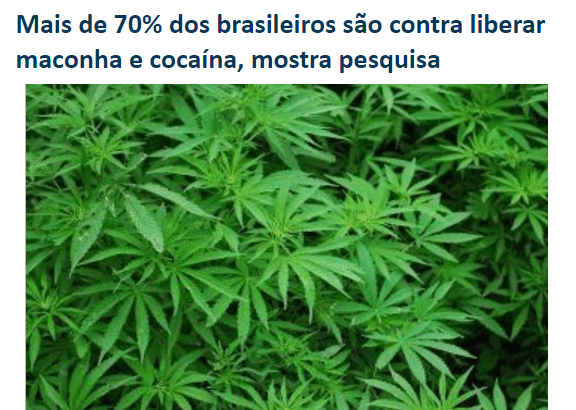Blog do Jeferson Almeida divulga pesquisa com a opinião dos Brasileiros sobre a legalização da maconha e da cocaína