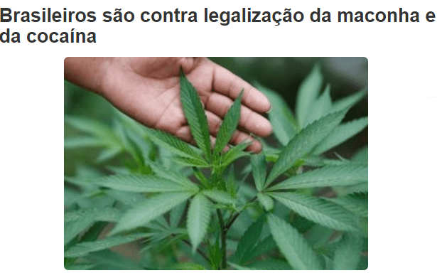 Portal Tribuna União divulga pesquisa com a opinião dos Brasileiros sobre a legalização da maconha e da cocaína