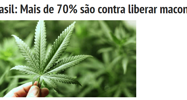 Portal Sul Bahia 1 divulga pesquisa com a opinião dos Brasileiros sobre a legalização da maconha e da cocaína