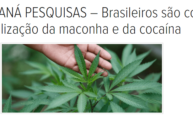 Site Polêmica Paraíba divulga pesquisa com a opinião dos Brasileiros sobre a legalização da maconha e da cocaína
