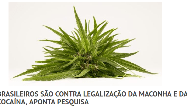Portal Click Notícias divulga pesquisa com a opinião dos Brasileiros sobre a legalização da maconha e da cocaína