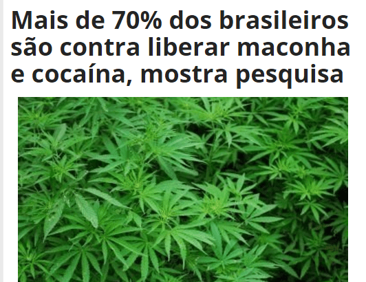 Portal Itapetinga Repórter divulga pesquisa com a opinião dos Brasileiros sobre a legalização da maconha e da cocaína