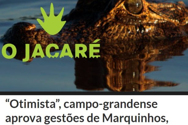 Blog O Jacaré divulga pesquisa realizada no Município de Campo Grande sobre a popularidade do Prefeito Marquinhos Trad e do Governador Reinaldo Azambuja