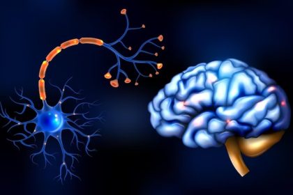 Cientistas descobrem que é possível gerar novos neurônios