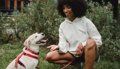 Babás de bicho: conheça o serviço de pet sitter e saiba dicas e cuidados antes de contratar