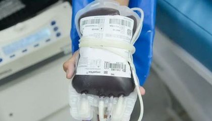 Novo Aplicativo Hemovida Busca Facilitar A Captacao De Doadores De Sangue 27112023110117643