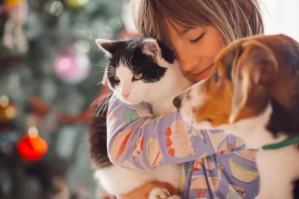 Gato Cachorro Pet