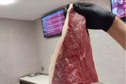 Campo Grande News cita pesquisa realizada pela Paraná Pesquisas.